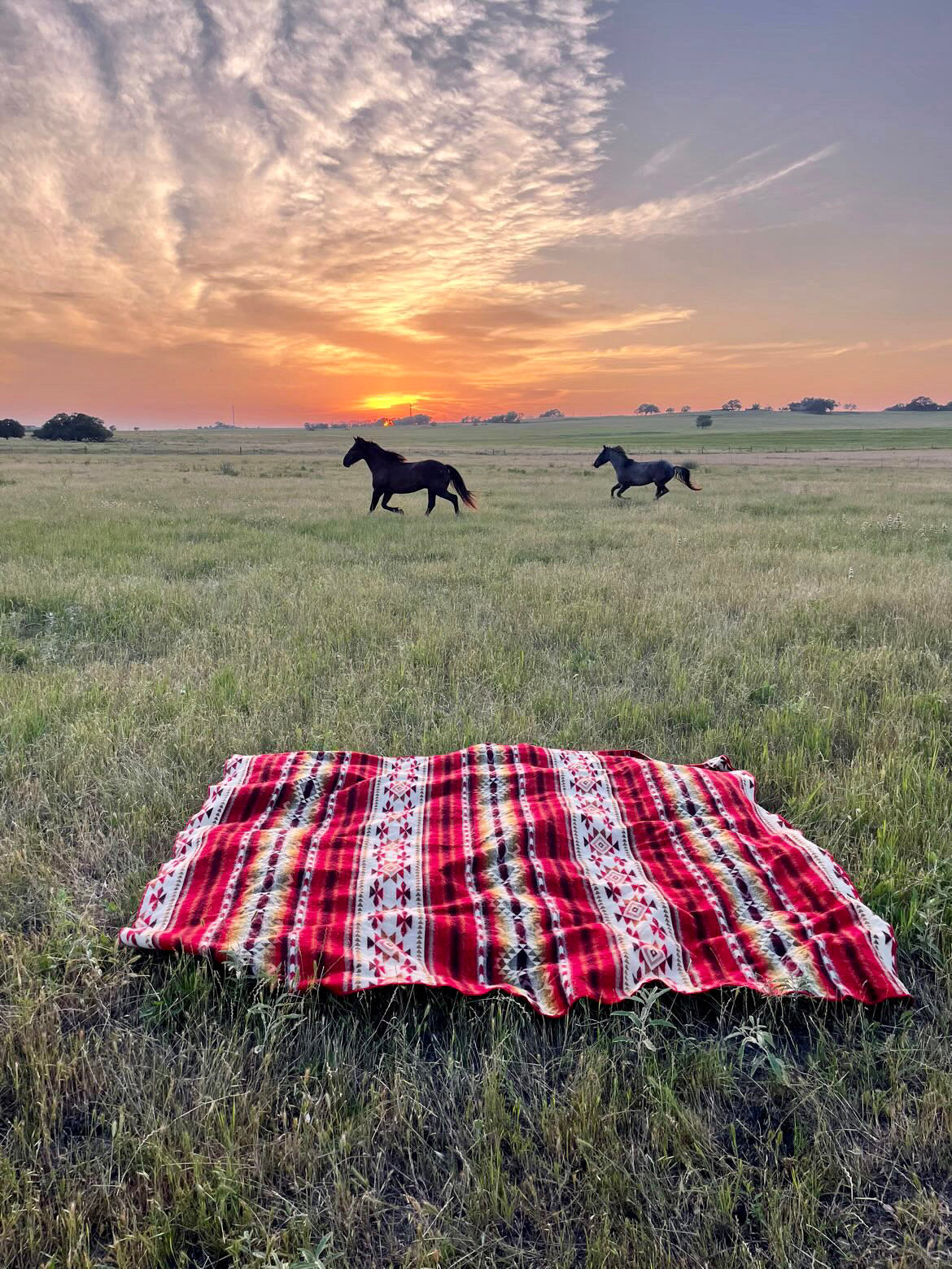 Artisan Southwestern Blanket - Cotacachi Fire