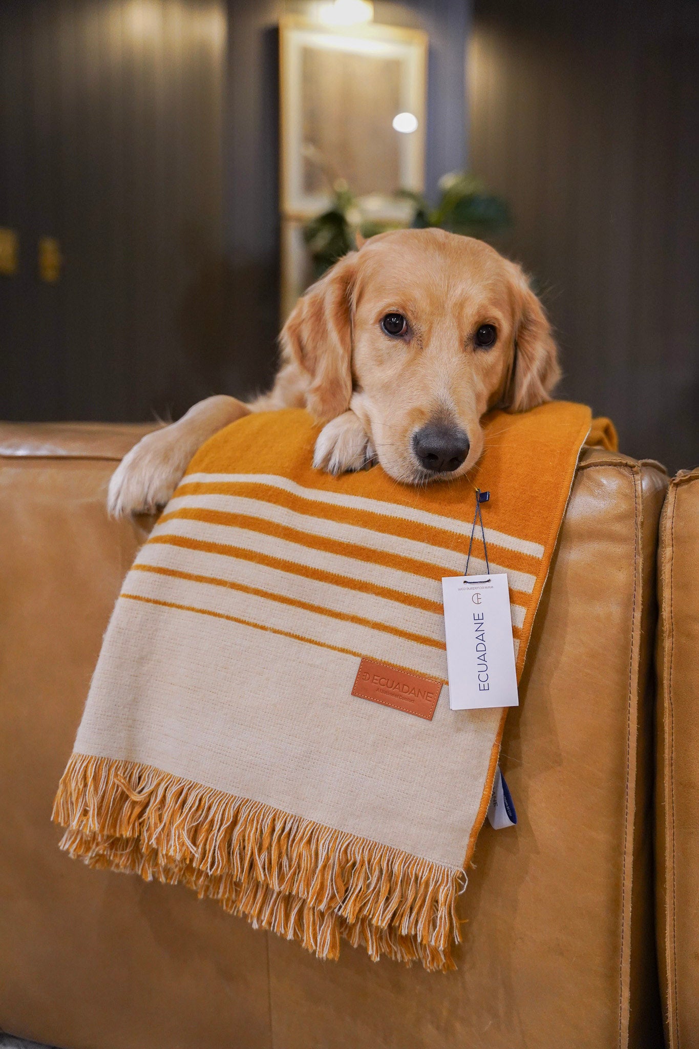 Quilotoa Gold and Beige Luxury Throw Blanket