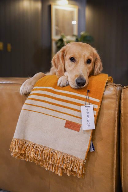 Quilotoa Gold and Beige Luxury Throw Blanket