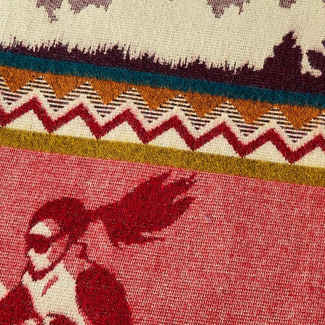 Red Ski Adventure - Ecuadane